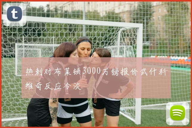 热刺对布莱顿3000万镑报价武什科维奇反应冷淡