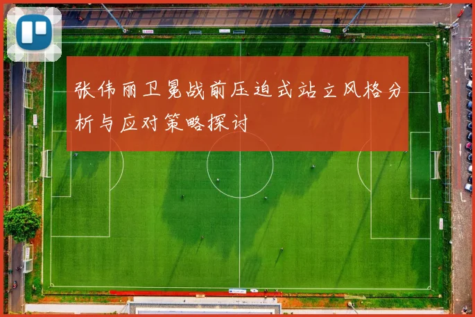 张伟丽卫冕战前压迫式站立风格分析与应对策略探讨