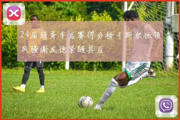 24届新秀季后赛得分榜卡斯尔独领风骚谢泼德紧随其后